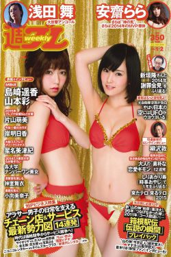 隋唐演义 电视剧